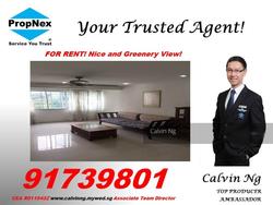 Blk 73 Telok Blangah Heights (Bukit Merah), HDB 5 Rooms #127472612